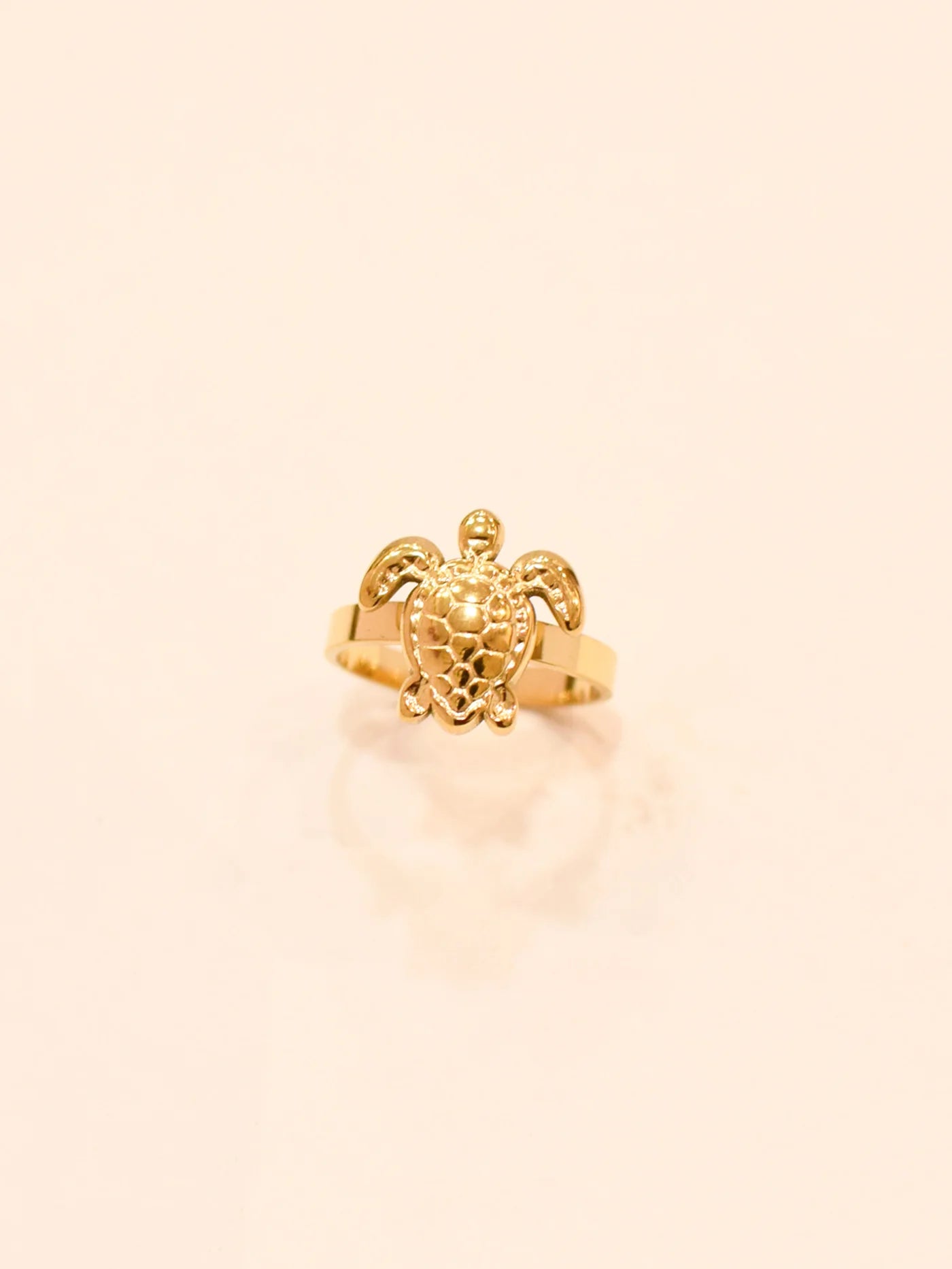 BAGUE - TURTLE