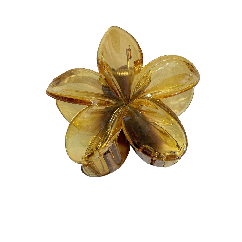 PINCE SOLEYA