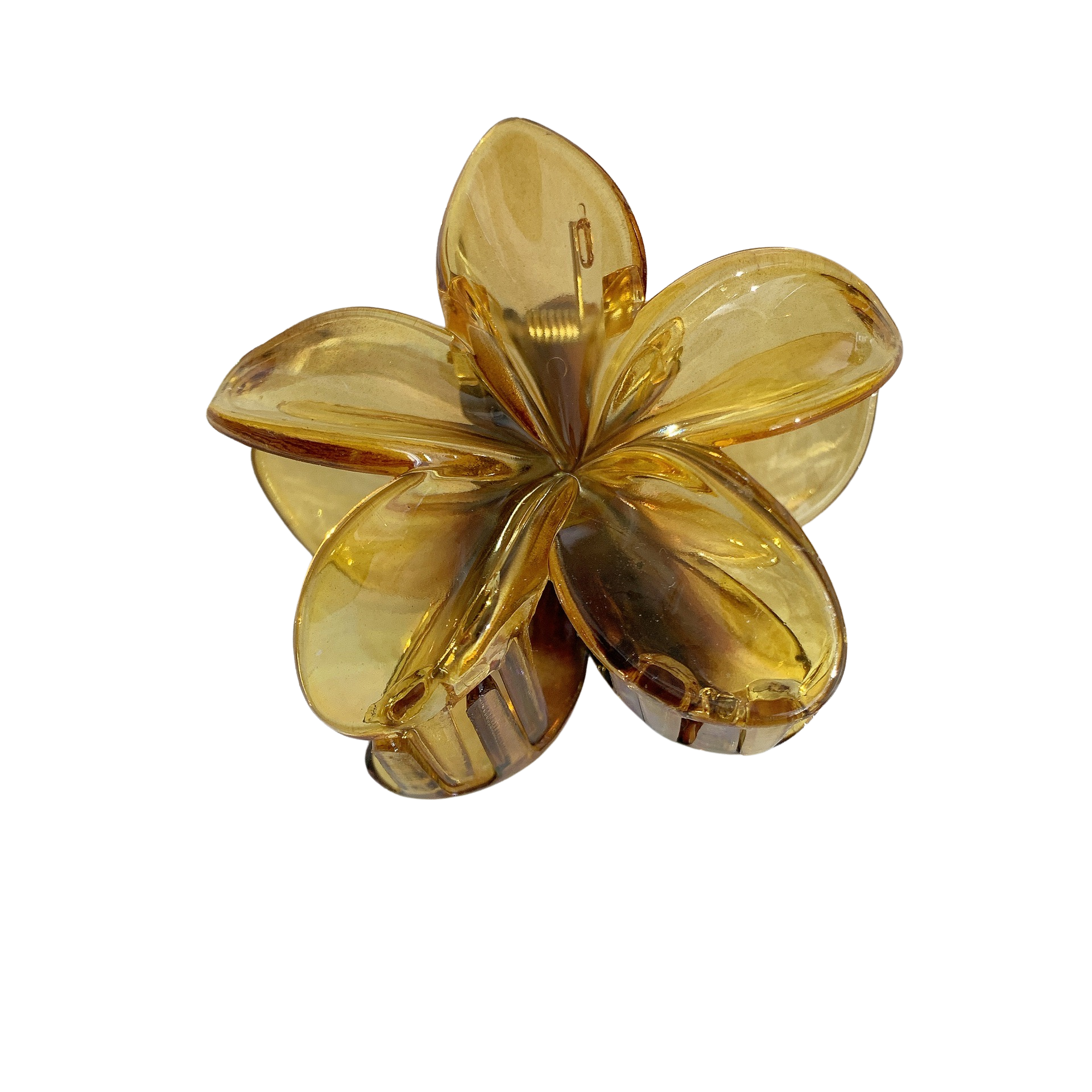 PINCE SOLEYA